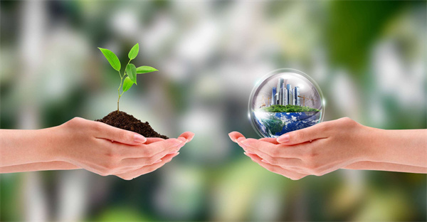 1731660379689391.jpg 01.jpg