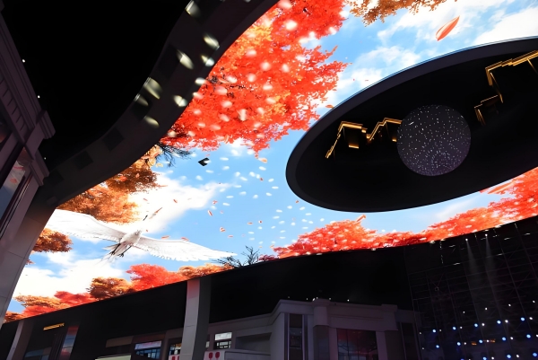 1736236999782504.jpg 03_副本.jpg