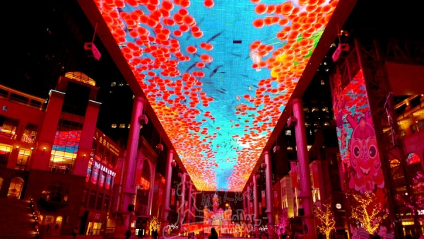 1736237042431734.jpg 06_副本.jpg