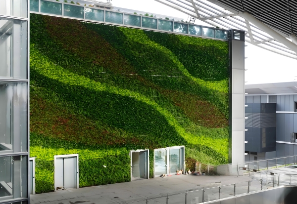 1744253716160201.jpg 3_副本.jpg