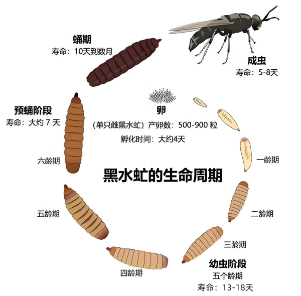 1746602602111380.jpg 2_副本.jpg