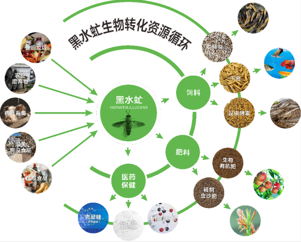 1746602669231936.png 3_副本.png