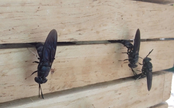 1746602727902841.jpg 5_副本.jpg