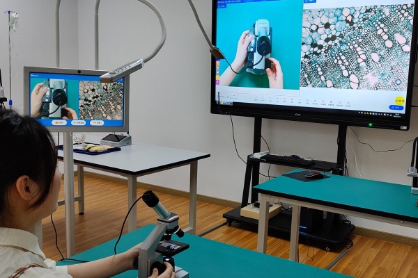 1766994171586682.jpg 3.jpg